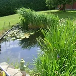 Relax * Ilsenburg (Harz)