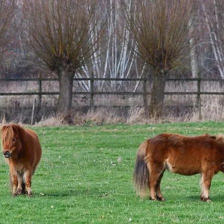 Apartman Relax Ilsenburg