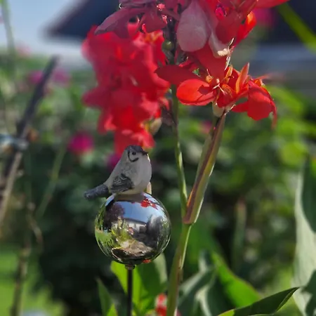 Relax Apartman Ilsenburg