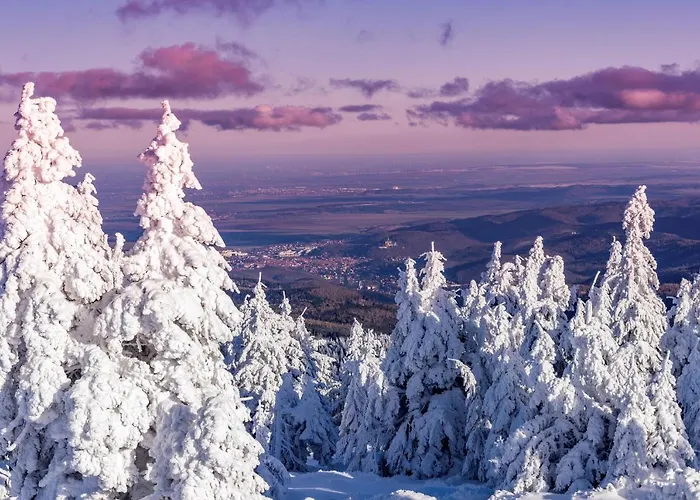 公寓 Relax 伊尔森堡