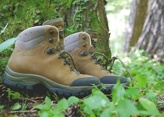 Relax Lejlighed Ilsenburg