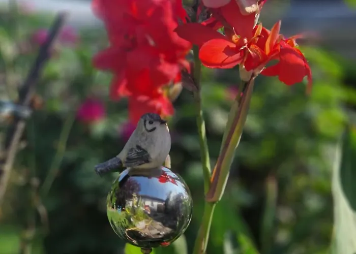 Relax Lejlighed Ilsenburg